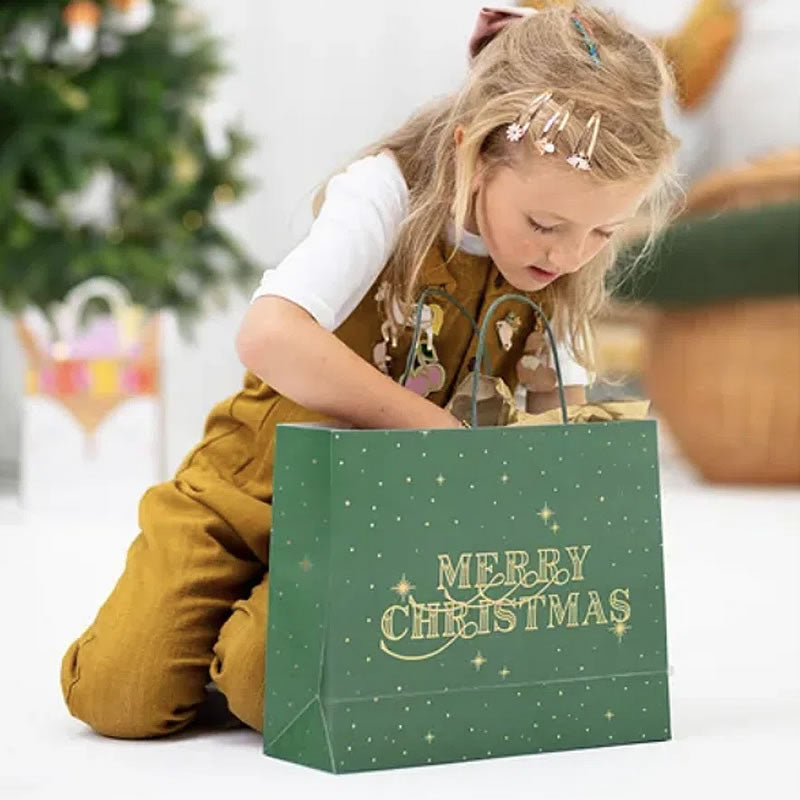 Merry Christmas Gift Bag