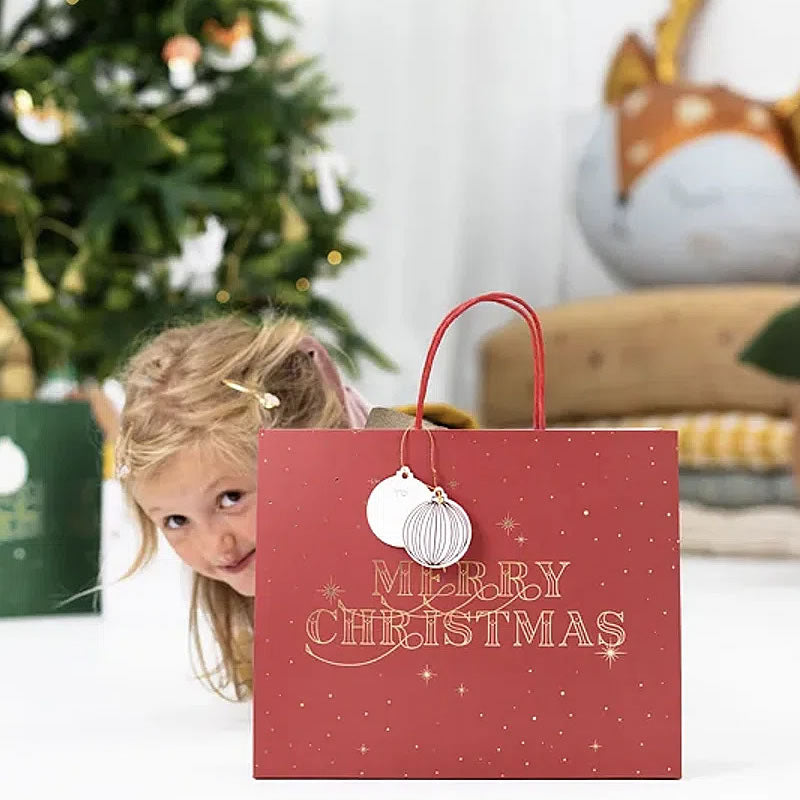 Merry Christmas Gift Bag