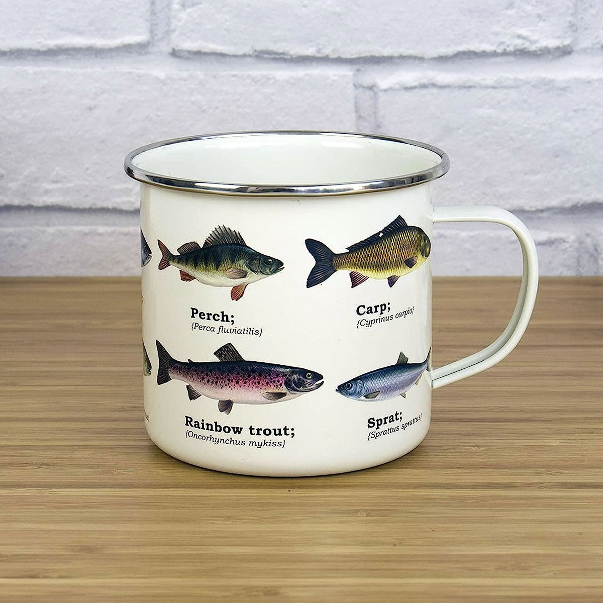 Fish Ecology Enamel Mug