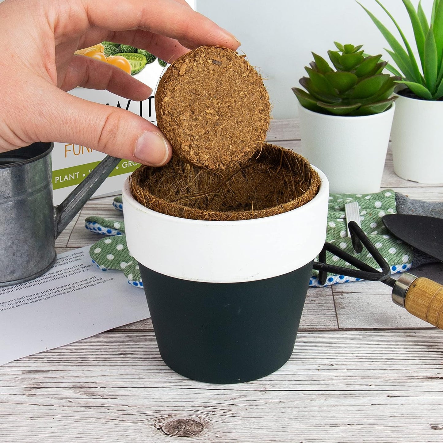 Grow It Funky Fruit Kit