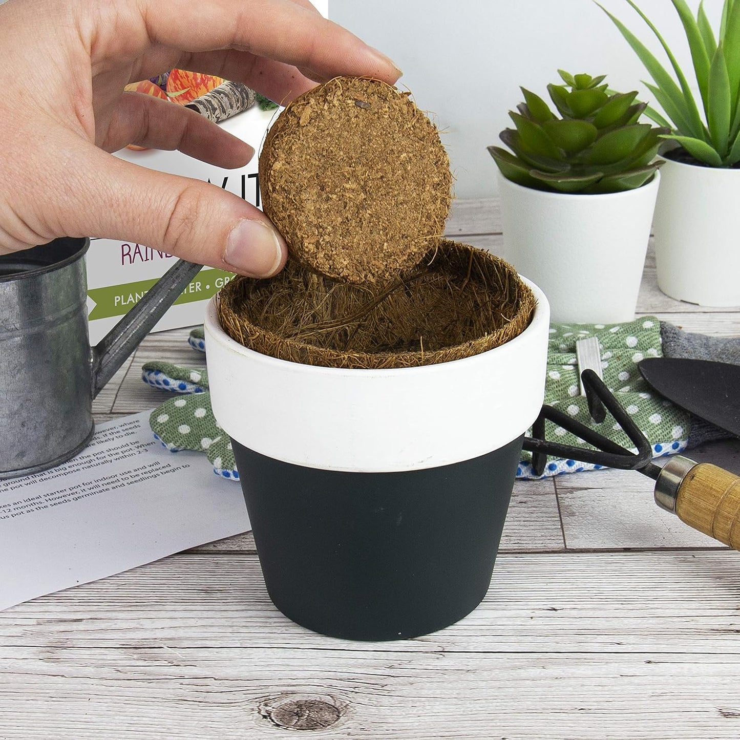 Grow It Rainbow Veg Kit