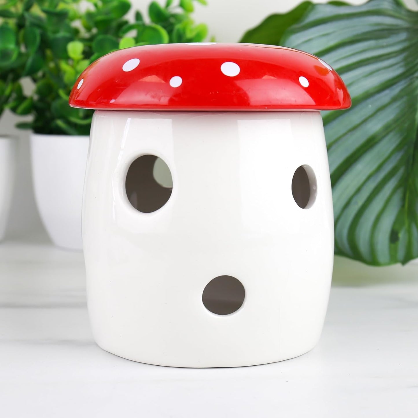 Mushroom Planter Grow Kit