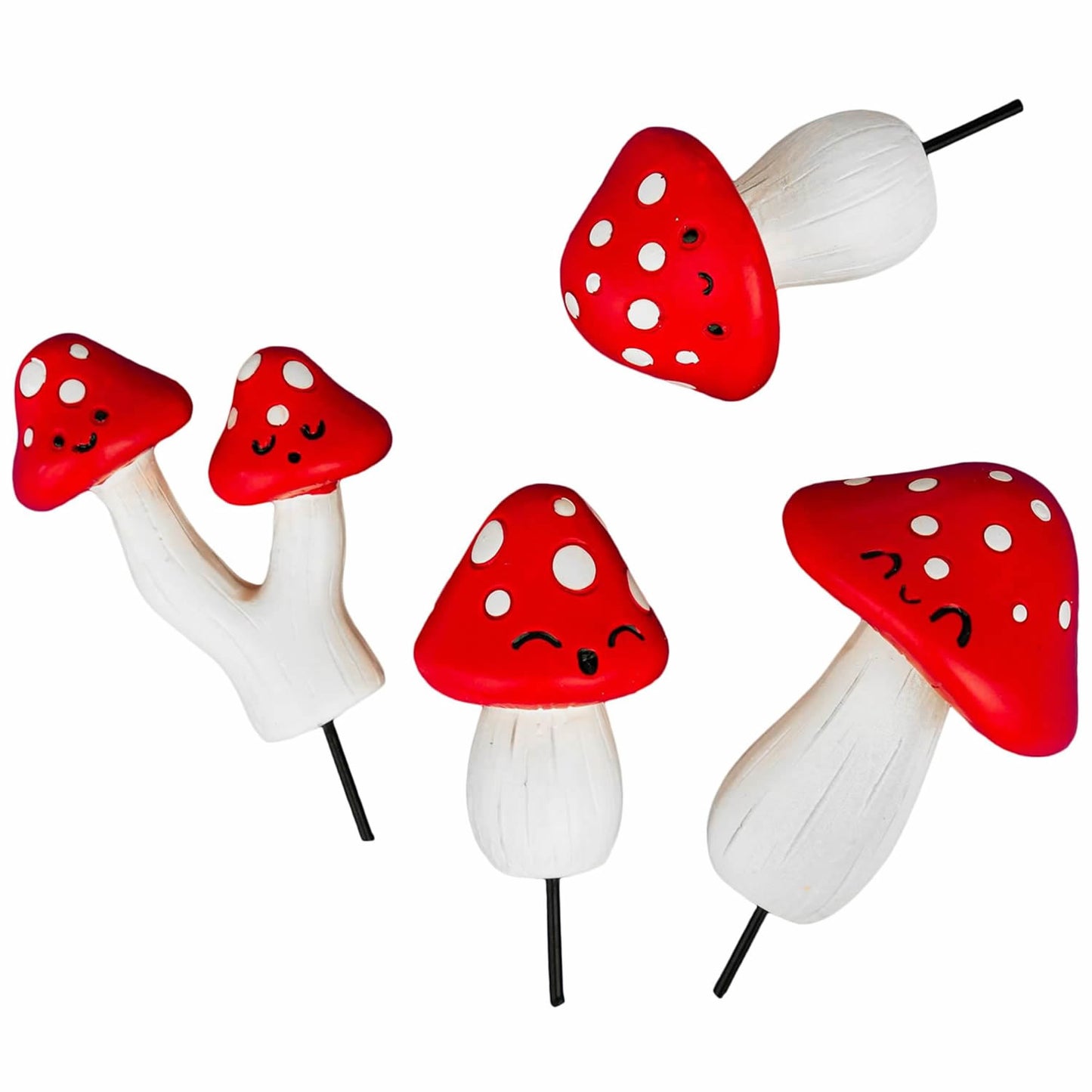 Mini Mushrooms Plant Pals