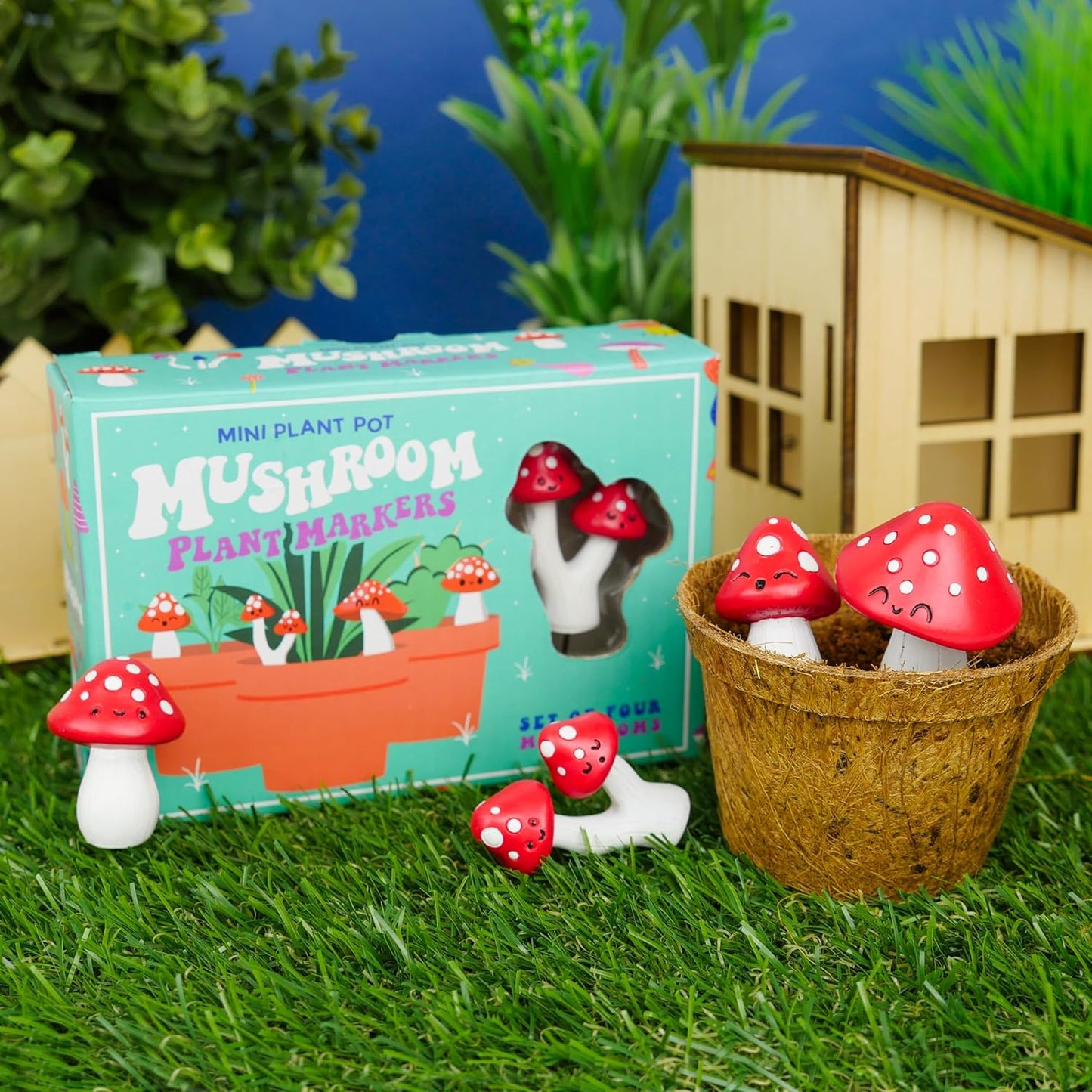 Mini Mushrooms Plant Pals