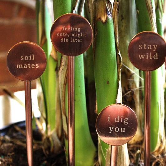 Copper Plant Marker Pins with Phrases