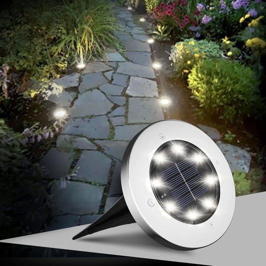Solar Pathway LED Light