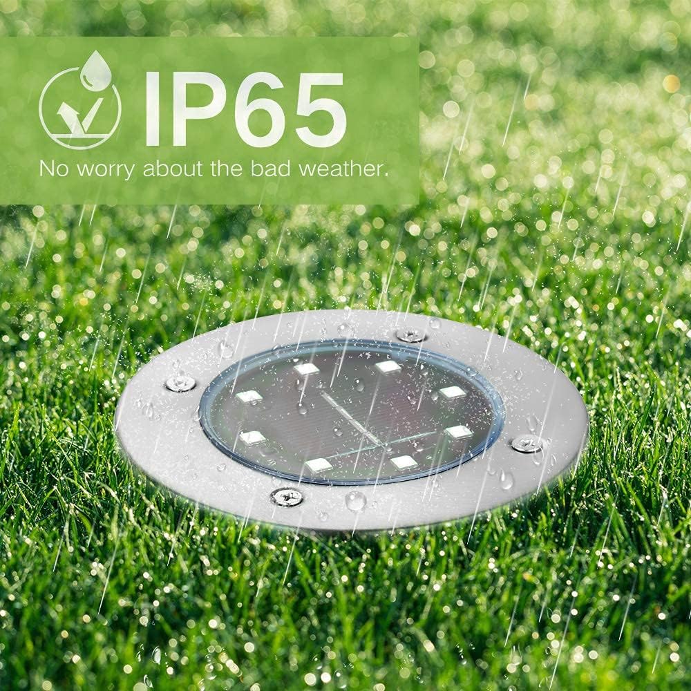Solar Pathway LED Light