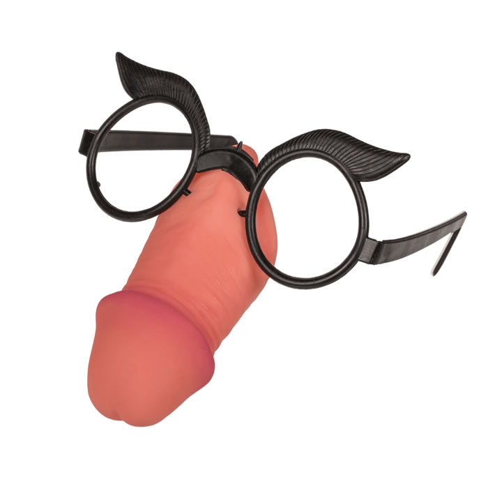 Prank Funny Willy Glasses