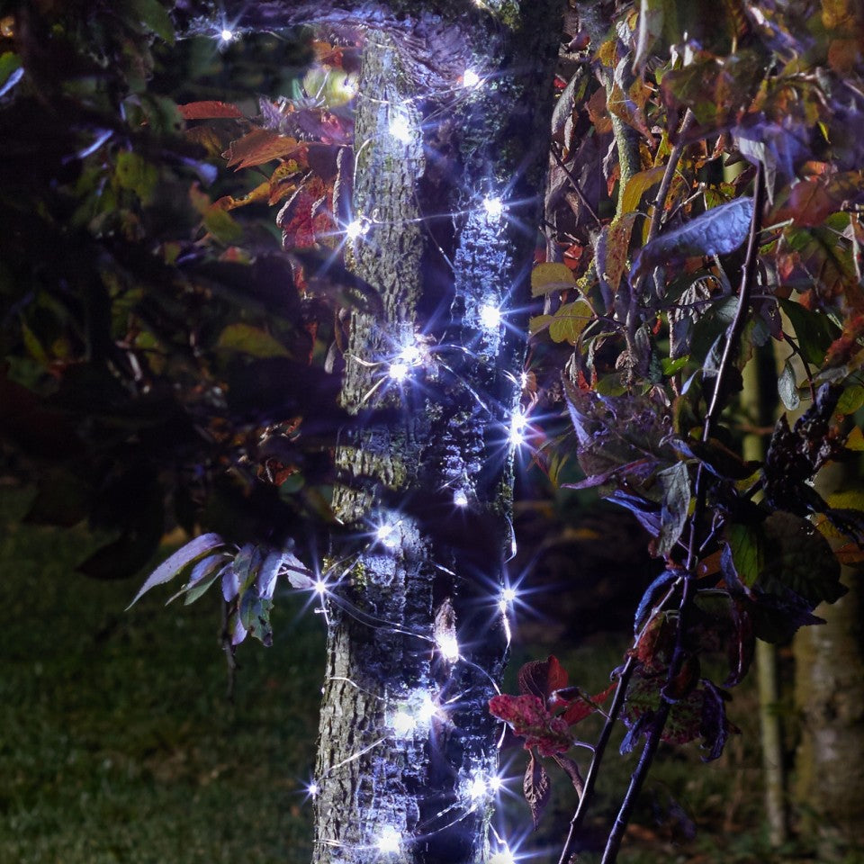 Firefly Solar String Lights