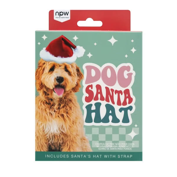 Dog Santa Hat