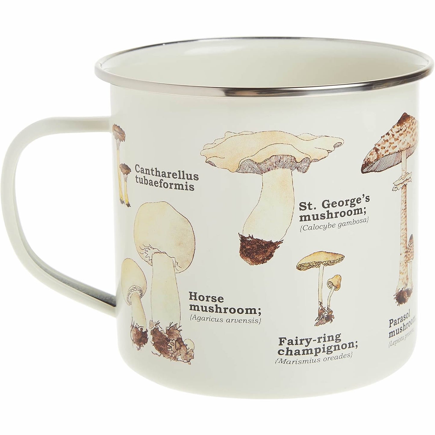 Mushroom Ecology Enamel Mug