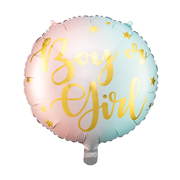 Pink and Mint Boy or Girl Balloon