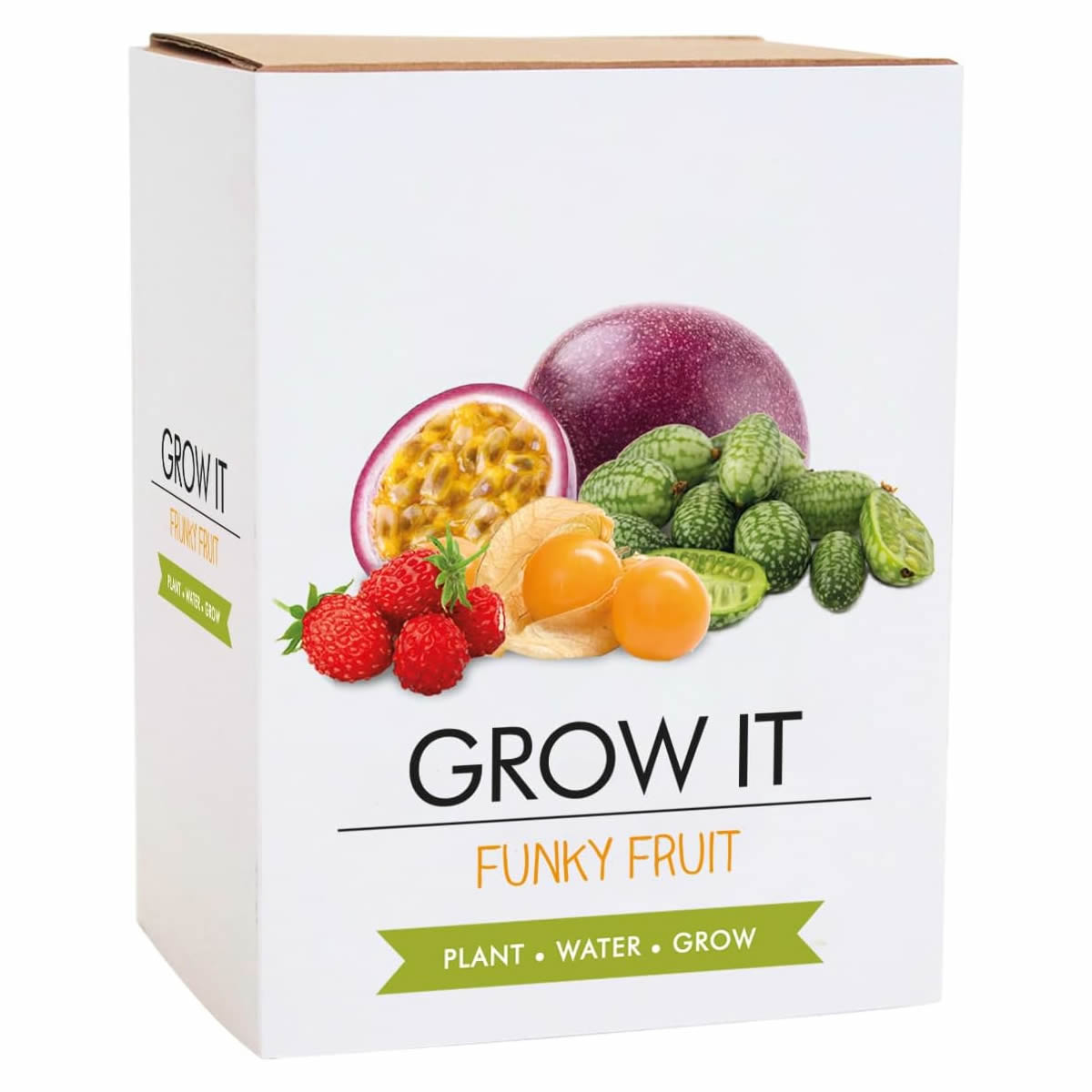 Grow It Funky Fruit Kit