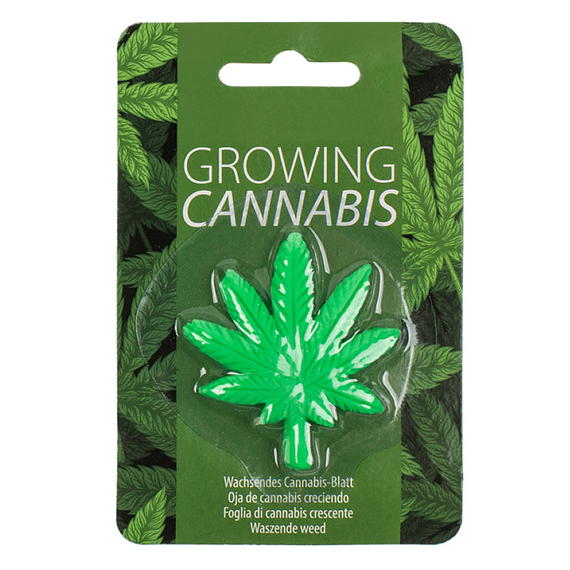 Growing Cannabis Leaf