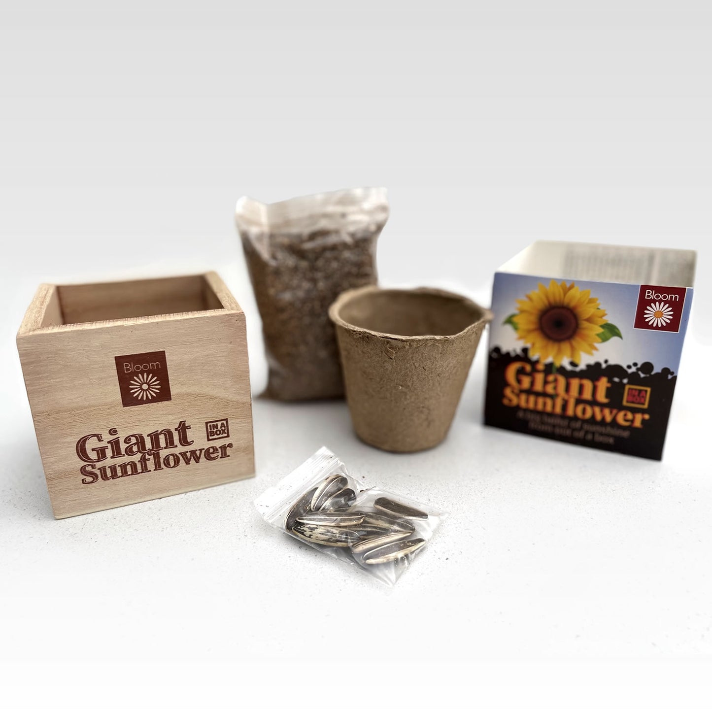 GYO Giant Sunflower Gift Plant