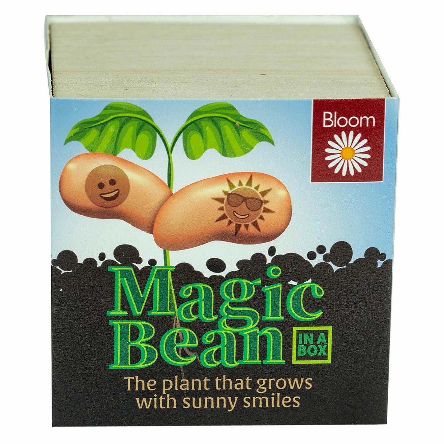 GYO Magic Bean Gift Plant