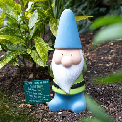 Large Weather Forecasting Gnome