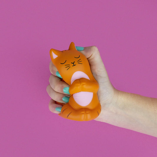 Meow-ditation Stress Toy