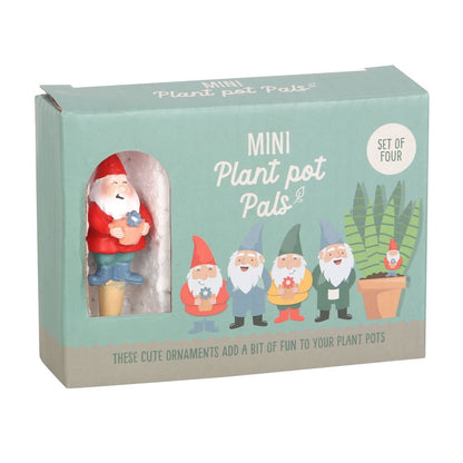 Mini Gnome Plant Pot Pals