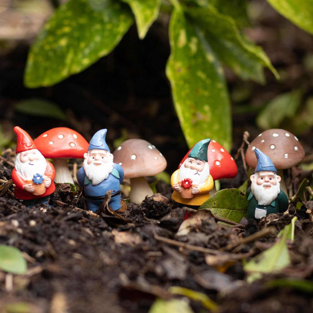 Mini Mushroom Plant Pot Pals