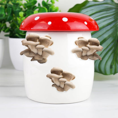 Mushroom Planter Grow Kit