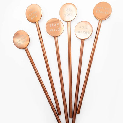 Copper Plant Marker Pins with Phrases