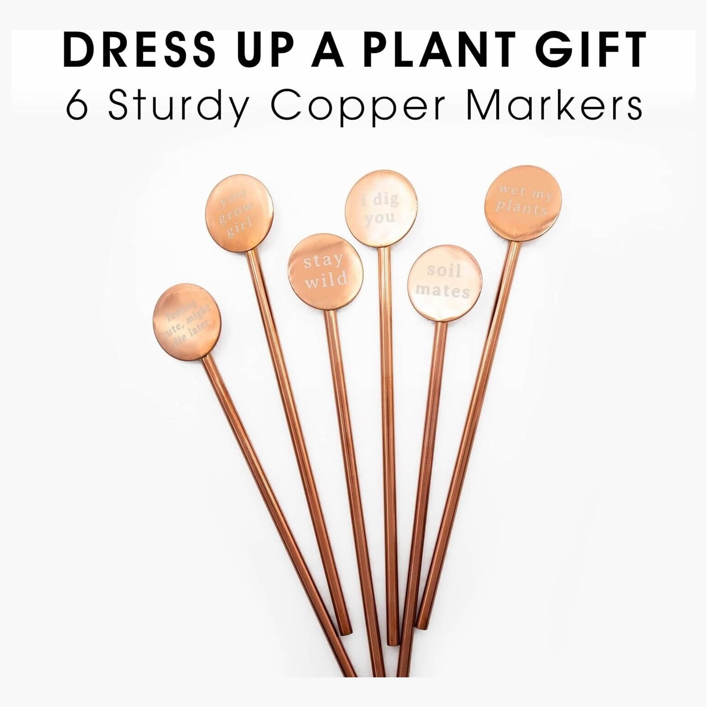 Copper Plant Marker Pins with Phrases