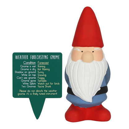 Small Weather Forecasting Gnome