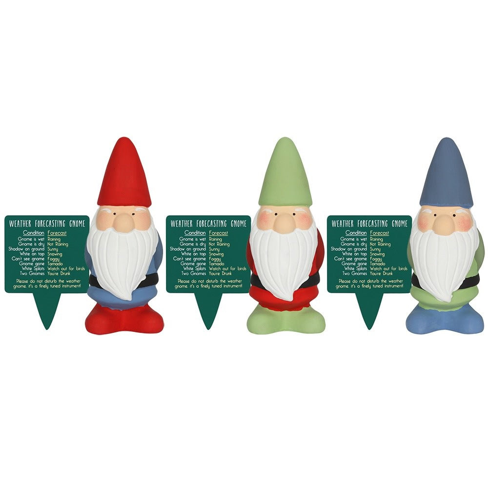 Small Weather Forecasting Gnome