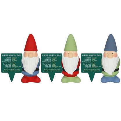 Small Weather Forecasting Gnome