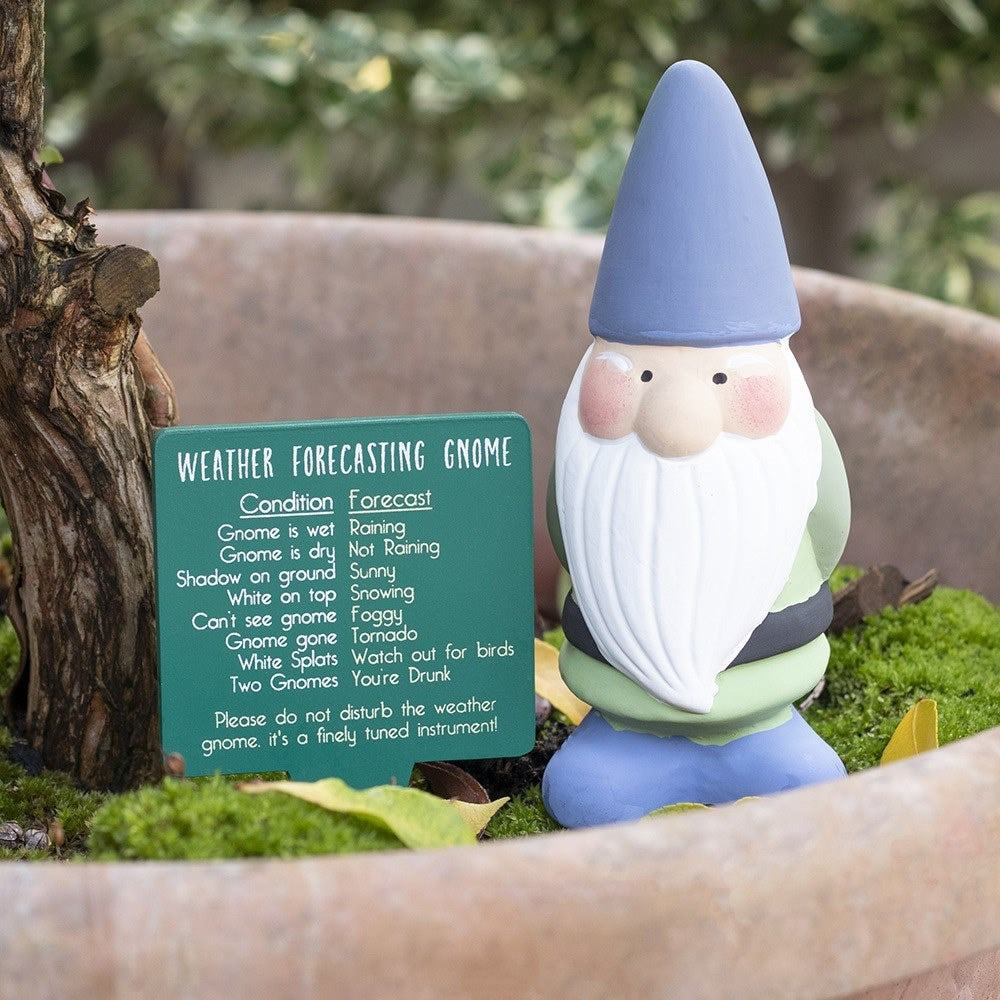 Small Weather Forecasting Gnome