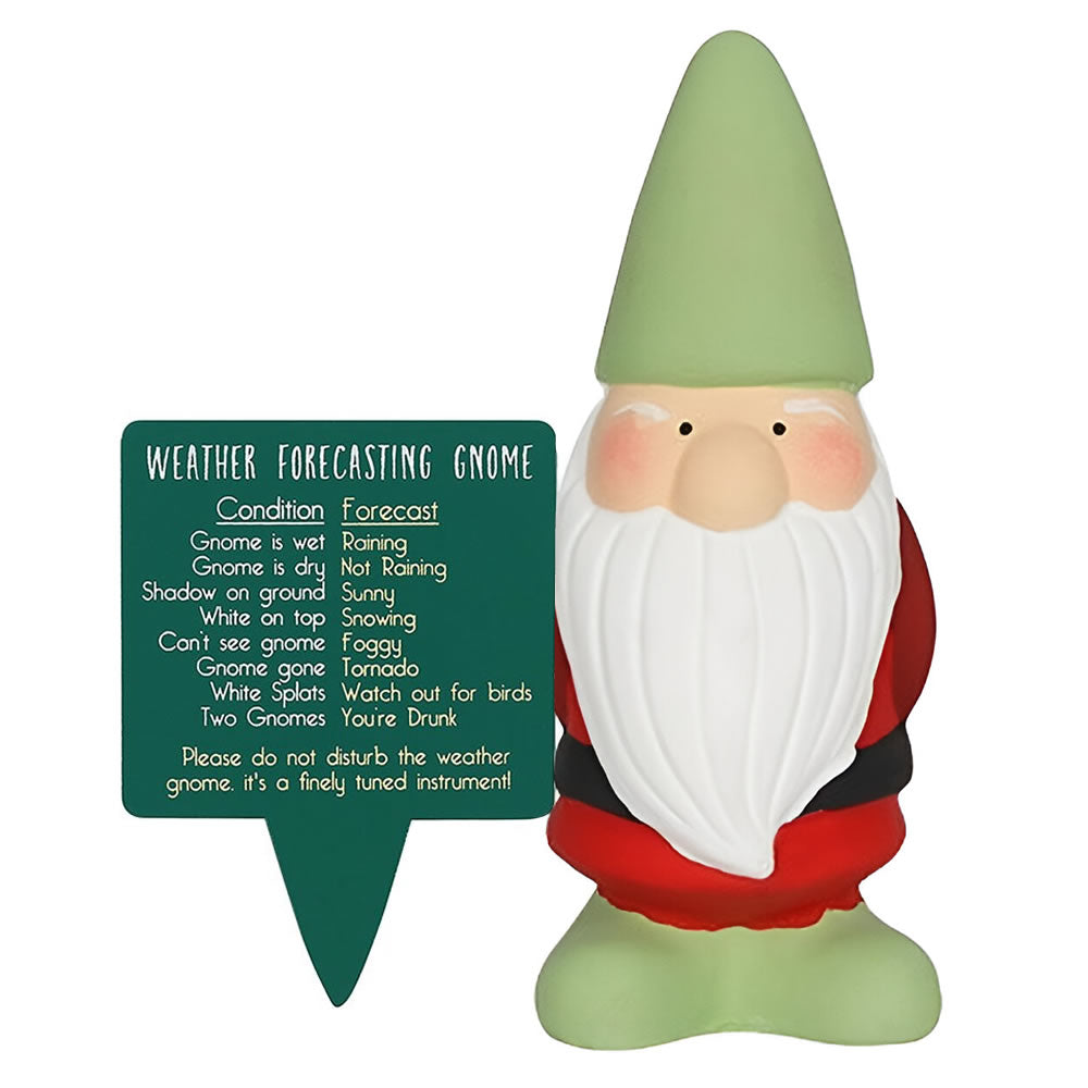 Small Weather Forecasting Gnome