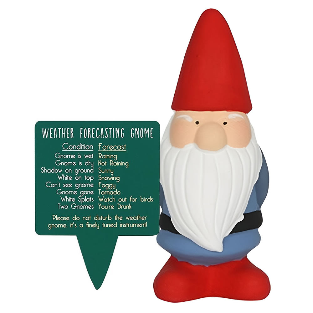 Small Weather Forecasting Gnome