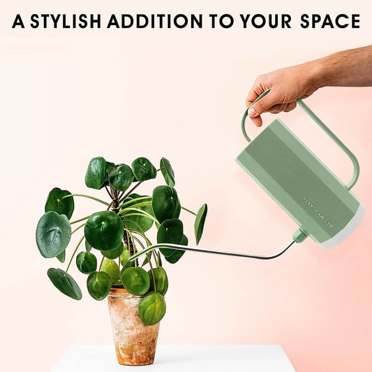 I Wet My Plants Faceted Watering Can