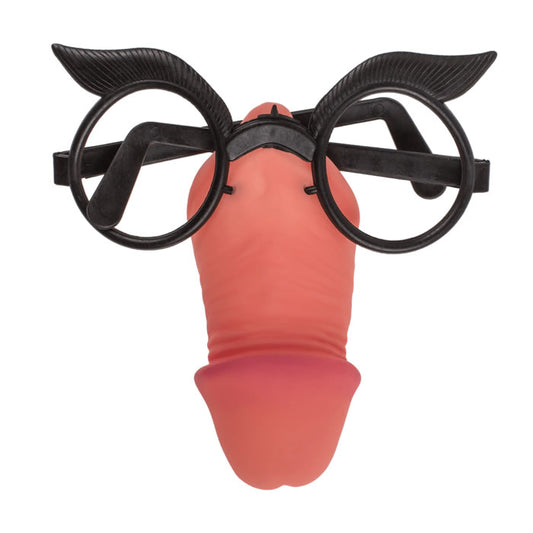 Prank Funny Willy Glasses