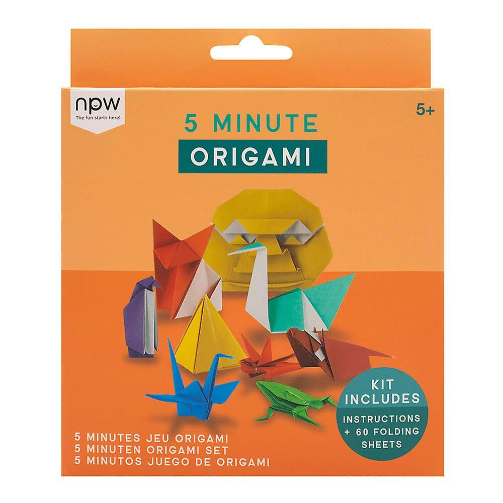 5 Minute Origami Set